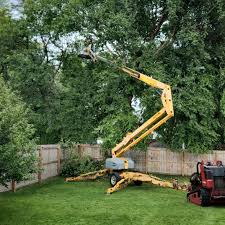 Best Tree Health Inspection  in Richfield, MN